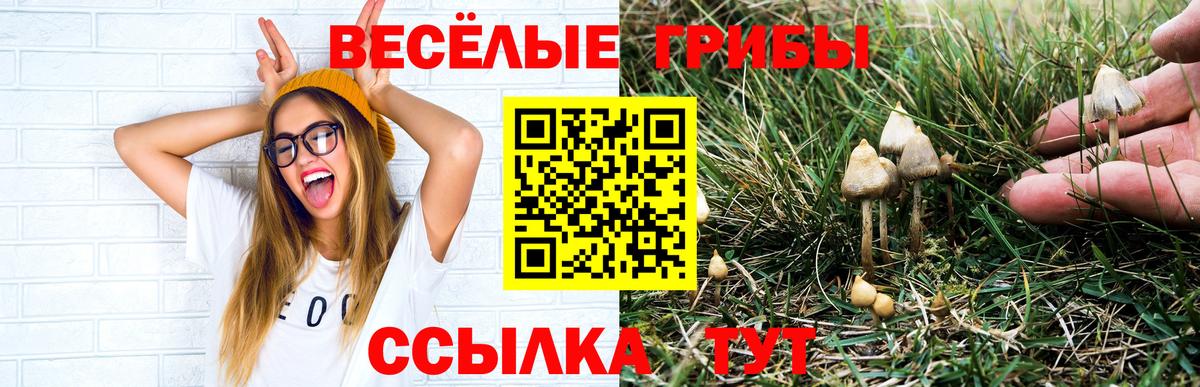 Псилоцибиновые грибы Cubensis Донецк