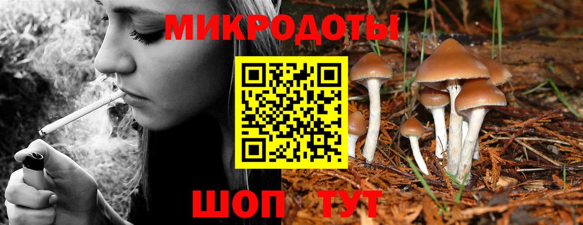 Донецк  Галлюциногенные грибы Cubensis  Вход с VPN 