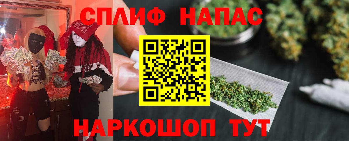Бошки Шишки семена Донецк